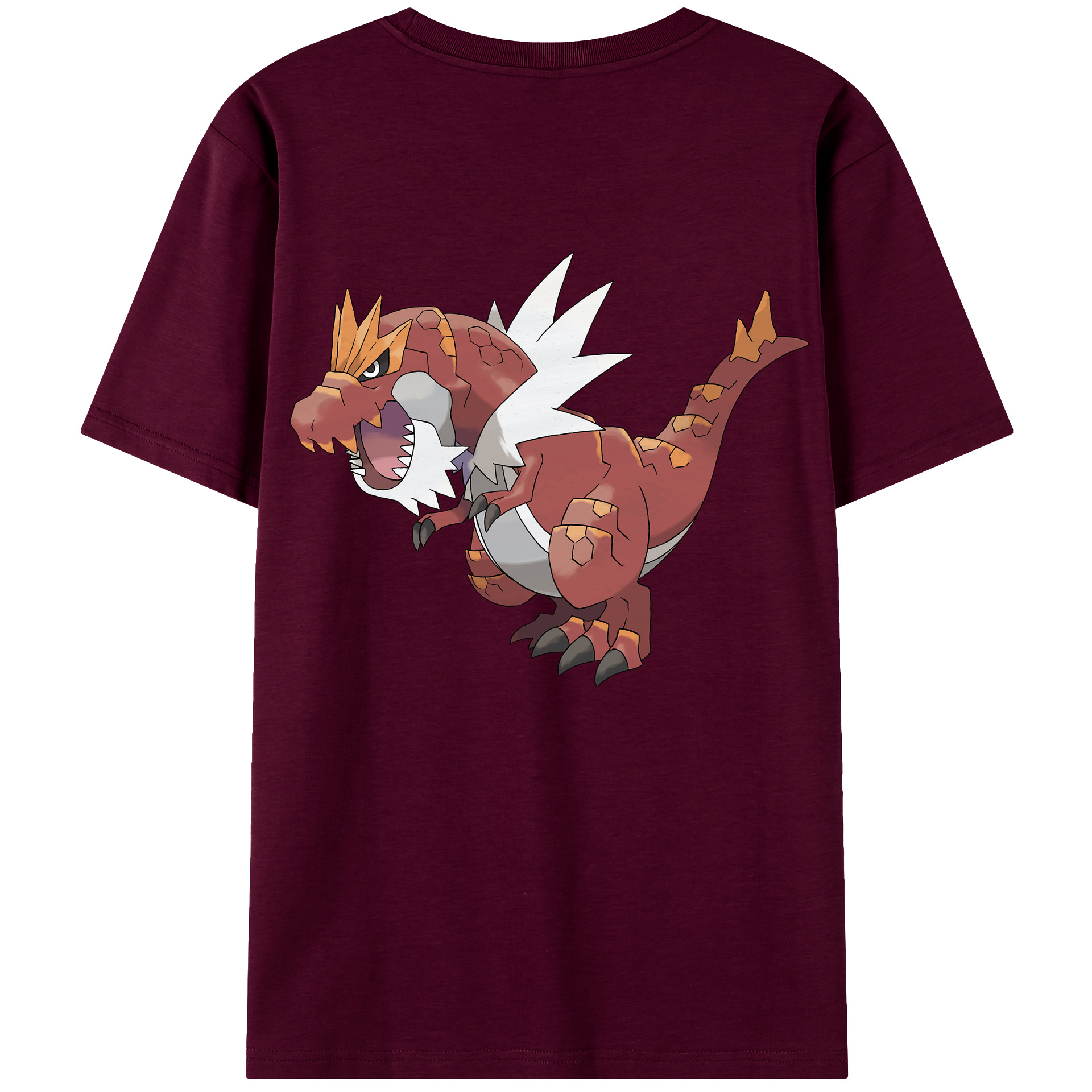 （画像用） ポケットモンスター Pokémon レディース半袖Tシャツ(バックプリント)